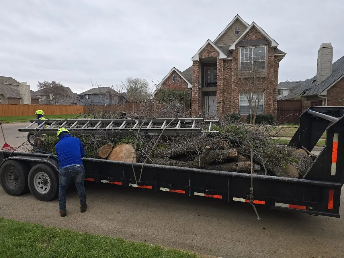 Expert Tree Removal with proper safety equipment in Coopersville